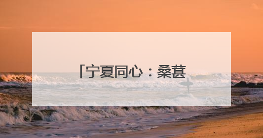 宁夏同心：桑葚丰收季 甜蜜采摘助力乡村振兴