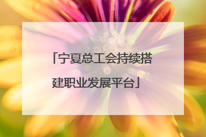 宁夏总工会持续搭建职业发展平台