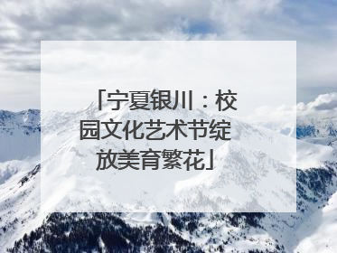 宁夏银川：校园文化艺术节绽放美育繁花