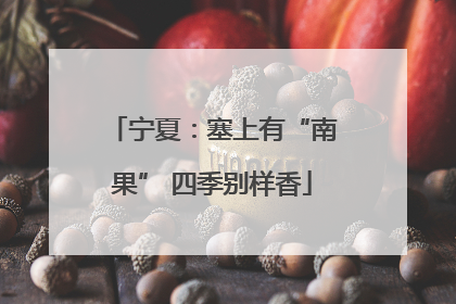 宁夏：塞上有“南果” 四季别样香