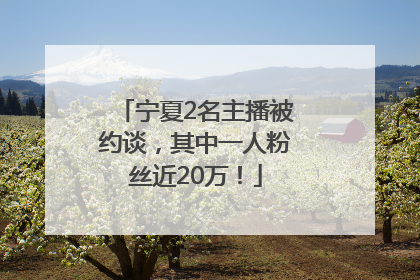 宁夏2名主播被约谈，其中一人粉丝近20万！