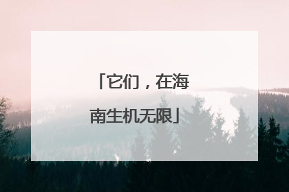 它们，在海南生机无限