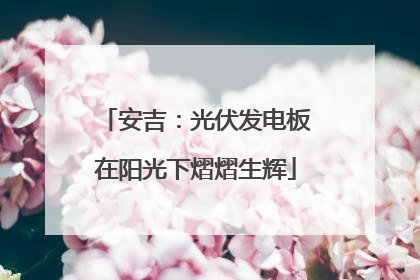 安吉：光伏发电板在阳光下熠熠生辉