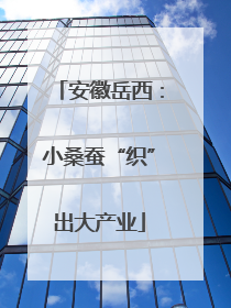 安徽岳西：小桑蚕“织”出大产业