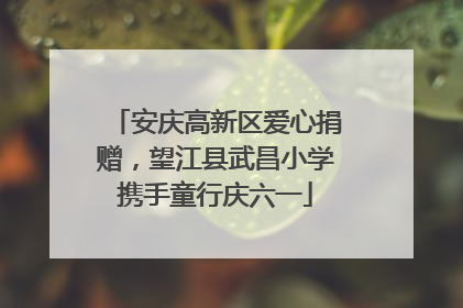 安庆高新区爱心捐赠，望江县武昌小学携手童行庆六一