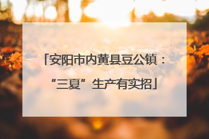 安阳市内黄县豆公镇：“三夏”生产有实招