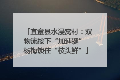 宜章县水浸窝村：双物流按下“加速键” 杨梅锁住“枝头鲜”