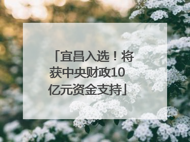 宜昌入选！将获中央财政10亿元资金支持