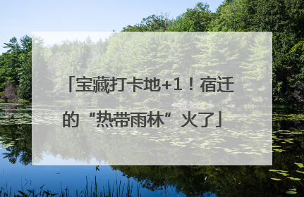 宝藏打卡地+1！宿迁的“热带雨林”火了