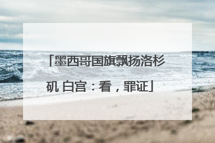 墨西哥国旗飘扬洛杉矶 白宫：看，罪证