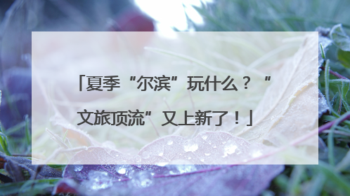 夏季“尔滨”玩什么？“文旅顶流”又上新了！