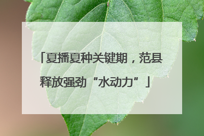 夏播夏种关键期，范县释放强劲“水动力”