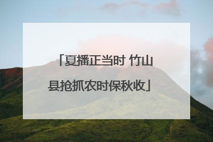 夏播正当时 竹山县抢抓农时保秋收