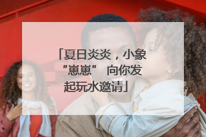 夏日炎炎，小象“崽崽” 向你发起玩水邀请