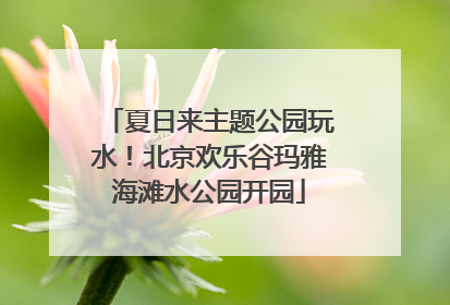 夏日来主题公园玩水！北京欢乐谷玛雅海滩水公园开园