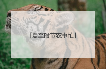 夏至时节农事忙