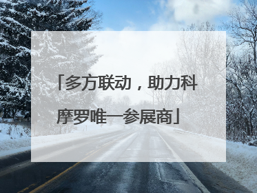 多方联动，助力科摩罗唯一参展商