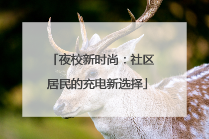 夜校新时尚：社区居民的充电新选择