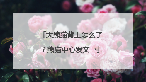 大熊猫背上怎么了？熊猫中心发文→