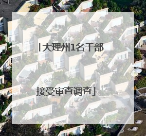 大理州1名干部接受审查调查