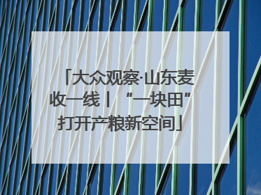 大众观察·山东麦收一线丨“一块田”打开产粮新空间