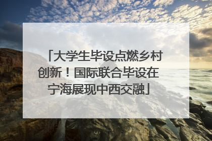 大学生毕设点燃乡村创新！国际联合毕设在宁海展现中西交融