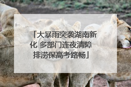 大暴雨突袭湖南新化 多部门连夜清障排涝保高考路畅