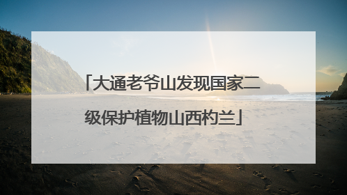 大通老爷山发现国家二级保护植物山西杓兰