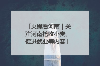 央媒看河南｜关注河南抢收小麦、促进就业等内容