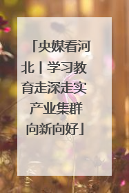 央媒看河北丨学习教育走深走实 产业集群向新向好