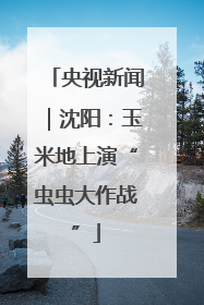 央视新闻｜沈阳：玉米地上演“虫虫大作战”