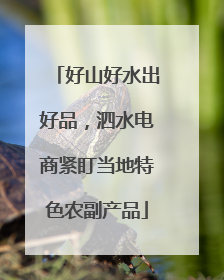 好山好水出好品，泗水电商紧盯当地特色农副产品