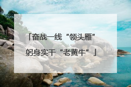 奋战一线“领头雁” 躬身实干“老黄牛”