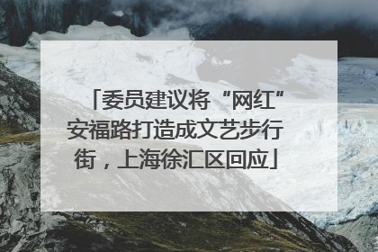委员建议将“网红”安福路打造成文艺步行街，上海徐汇区回应