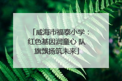 威海市福泰小学：红色基因润童心 队旗飘扬筑未来