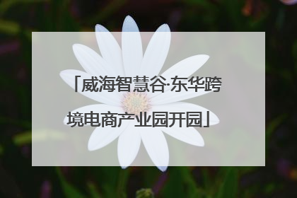威海智慧谷·东华跨境电商产业园开园