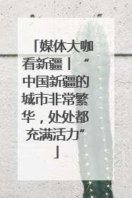 媒体大咖看新疆丨“中国新疆的城市非常繁华，处处都充满活力”