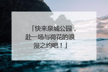 快来泉城公园，赴一场与荷花的浪漫之约吧！