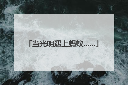 当光明遇上蚂蚁……