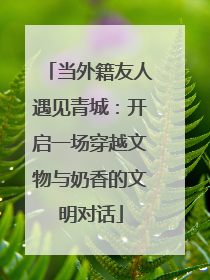 当外籍友人遇见青城：开启一场穿越文物与奶香的文明对话