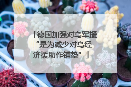 德国加强对乌军援 “是为减少对乌经济援助作铺垫”
