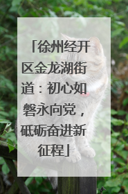 徐州经开区金龙湖街道：初心如磐永向党，砥砺奋进新征程