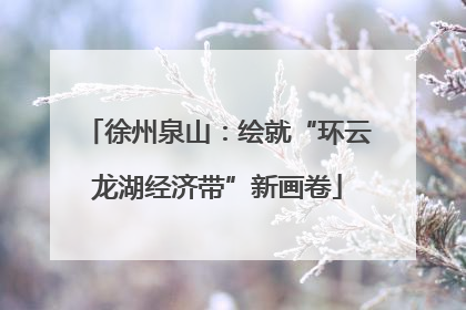 徐州泉山：绘就“环云龙湖经济带”新画卷