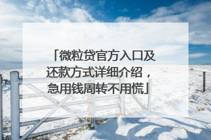 微粒贷官方入口及还款方式详细介绍，急用钱周转不用慌