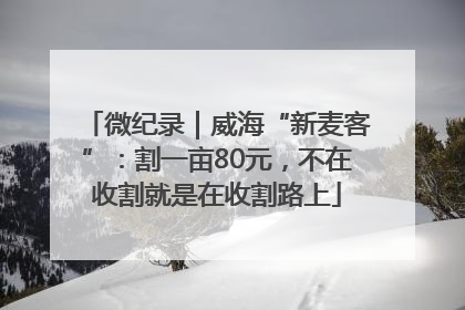 微纪录｜威海“新麦客”：割一亩80元，不在收割就是在收割路上