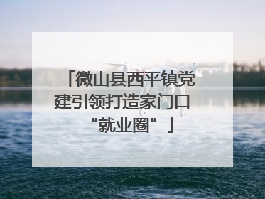 微山县西平镇党建引领打造家门口“就业圈”