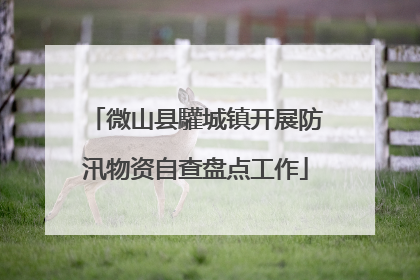 微山县驩城镇开展防汛物资自查盘点工作