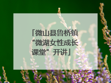 微山县鲁桥镇“微湖女性成长课堂”开讲