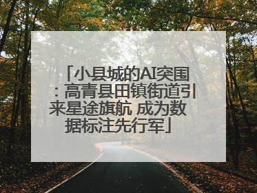 小县城的AI突围：高青县田镇街道引来星途旗航 成为数据标注先行军