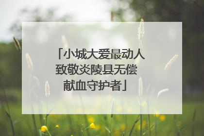 小城大爱最动人 致敬炎陵县无偿献血守护者